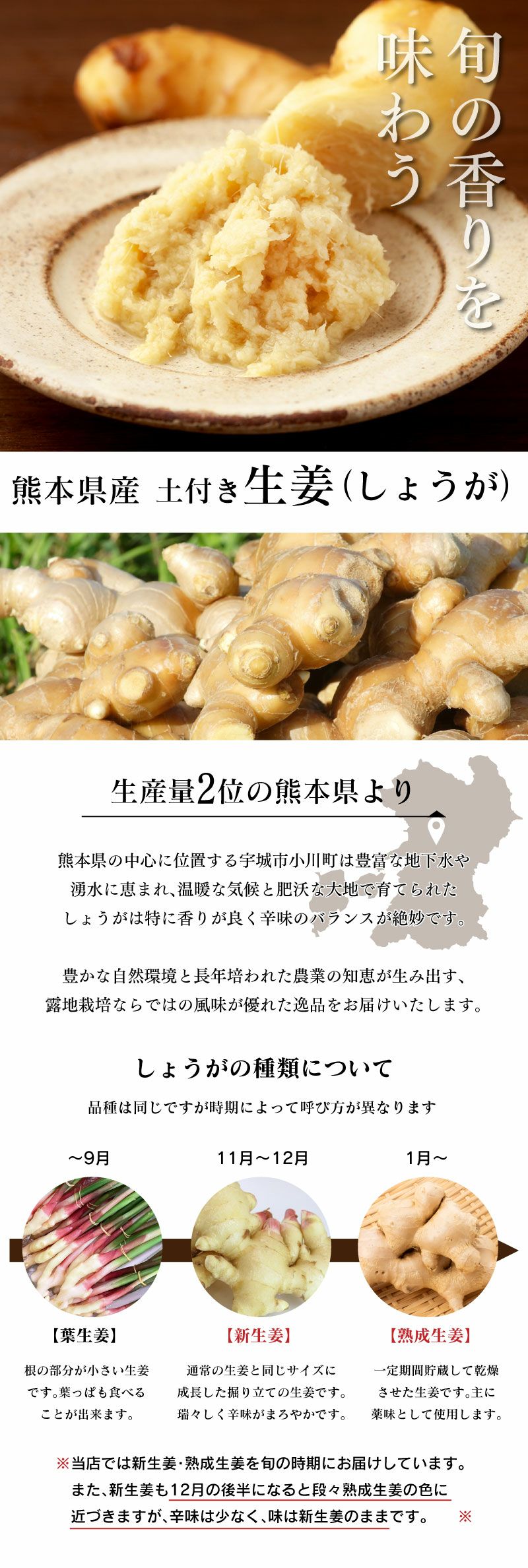 熊本県産 土付き生姜 5kg 送料無料（11月中旬より順次出荷） ショウガ