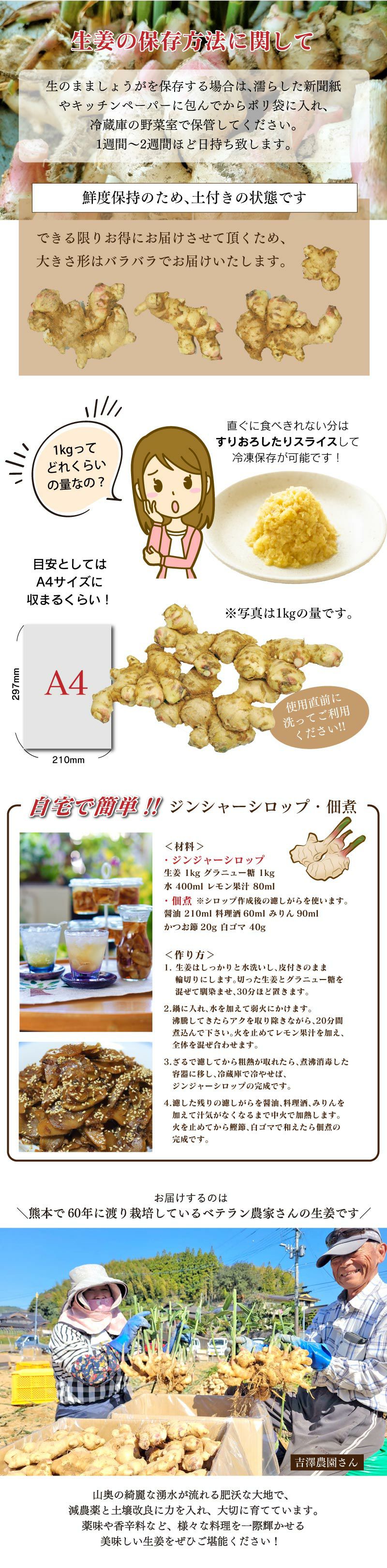 熊本県産 土付き生姜 5kg 送料無料（11月中旬より順次出荷） ショウガ