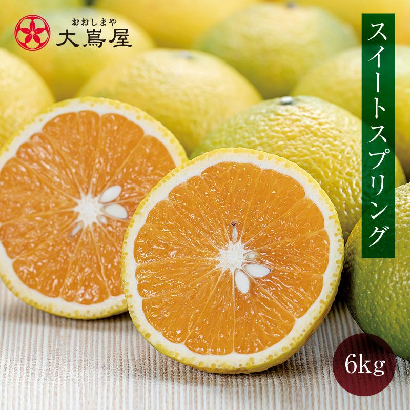 熊本県産スイートスプリング、みかん 楽天市場】スイートスプリング 1.5kg 2セット購入で1kg 3セット購入