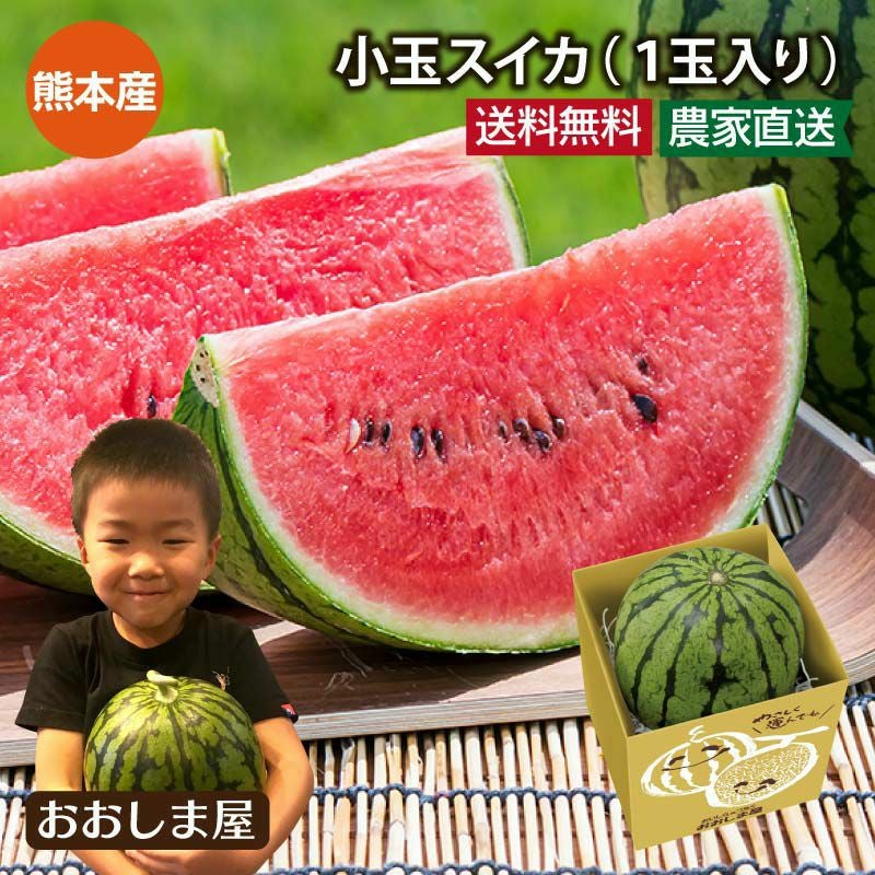 熊本県産 小玉西瓜 1玉入り 送料別 ＜5月上旬より順次出荷予定＞ ※沖縄