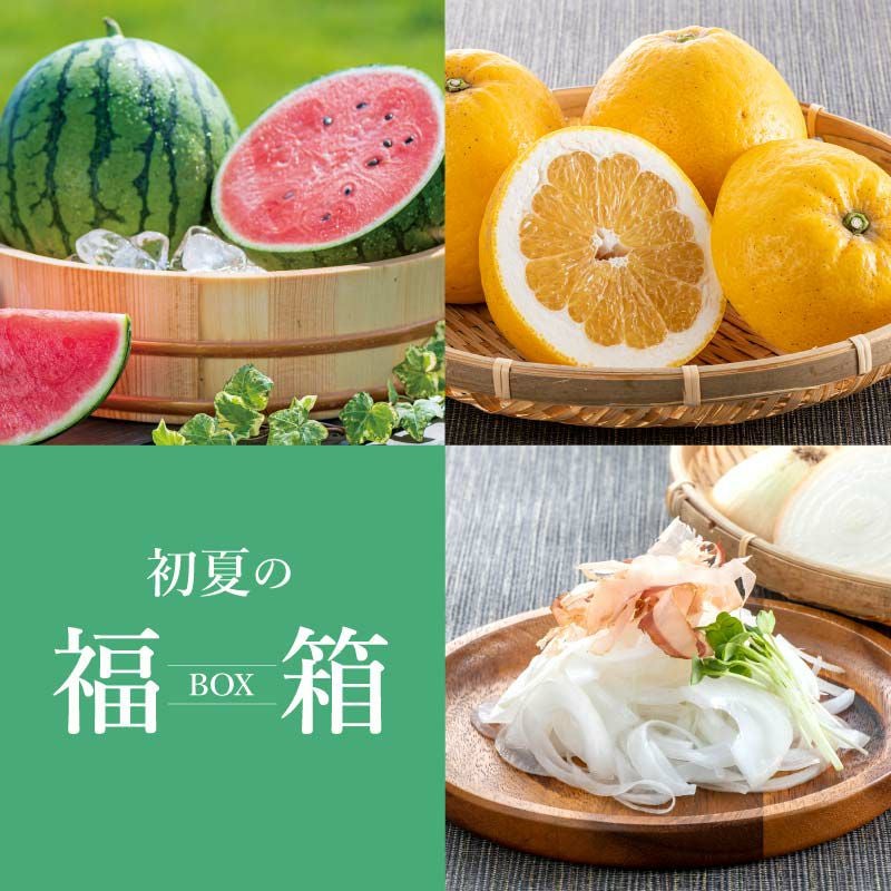 初夏の福箱 送料無料 小玉スイカ・ジューシーオレンジ （河内晩柑