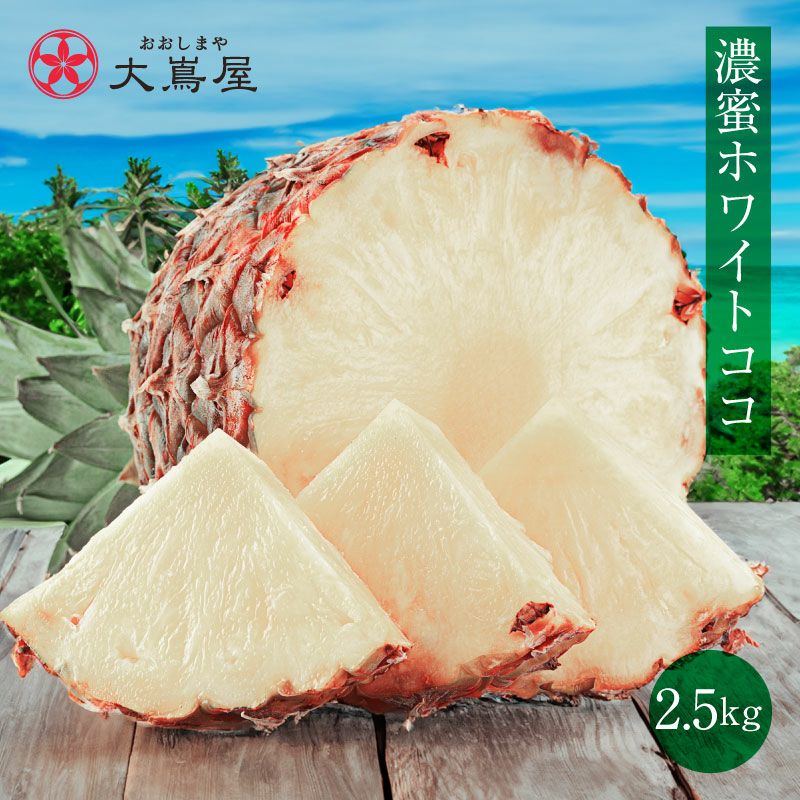 沖縄 パイナップル 島パイン ホワイトココ 2.5kg 送料無料 約2玉～3玉