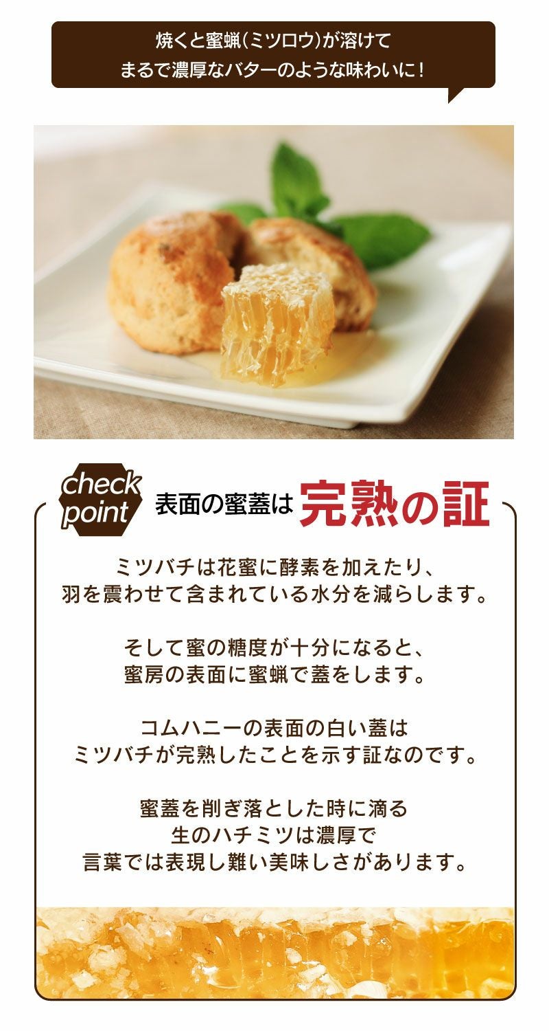 巣蜜 コムハニー ニュージーランド産 1箱 340g 送料別 生はちみつ