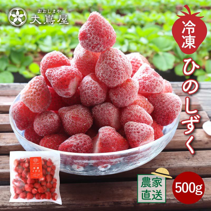 冷凍いちご9kg 冷凍いちご ひのしずく 500g 送料・クール代別 ※直送のため同梱不可 苺