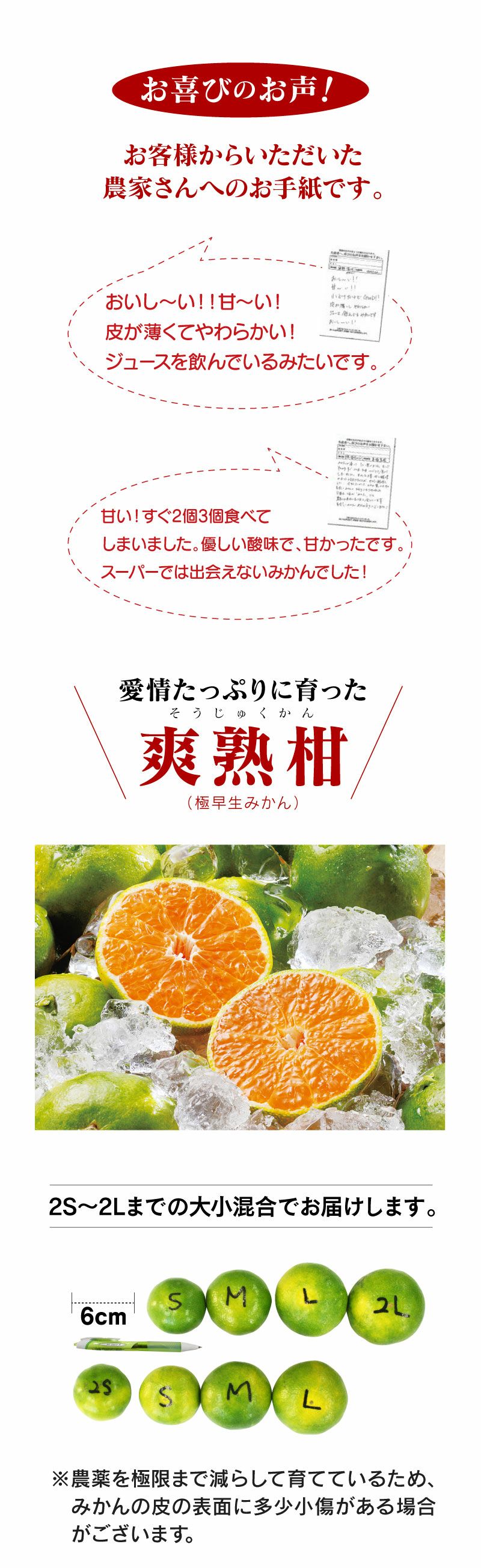 完熟温州みかん 2kg 送料別 ＜10月上旬頃から順次出荷＞ 国産 ミカン