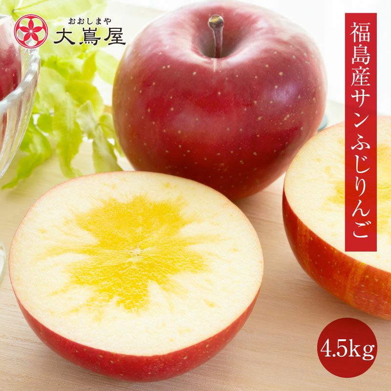 福島産 蜜入り 完熟サンふじりんご 4.5kg 約12～18玉 大小混合 小傷