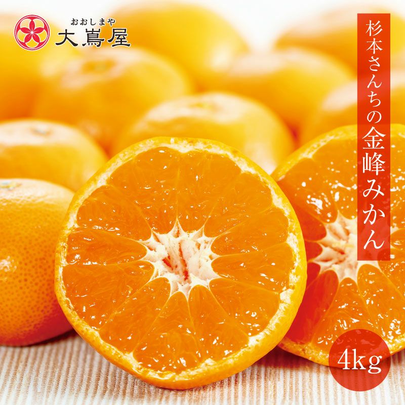 杉本さんちの金峰みかん 4kg 送料無料 ＜12月上旬頃より出荷予定
