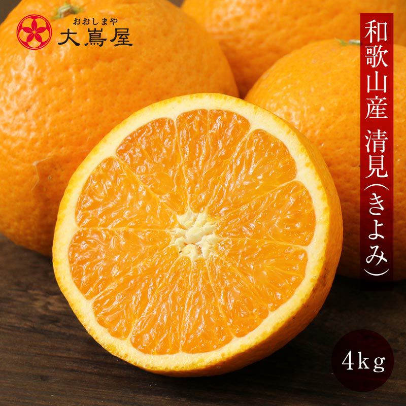 和歌山産 清見オレンジ 4kg 送料無料（約15玉-21玉入り）大小サイズ