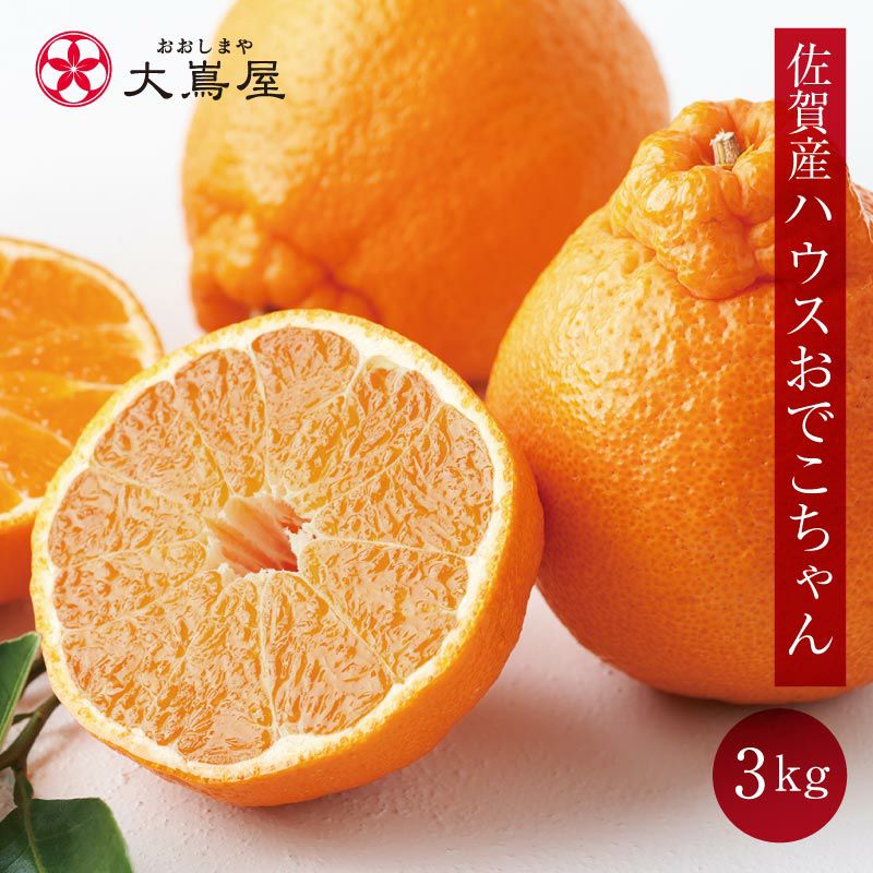 上野さんちのハウスおでこちゃん 3kg 送料無料（約12玉-15玉入り）L-2L