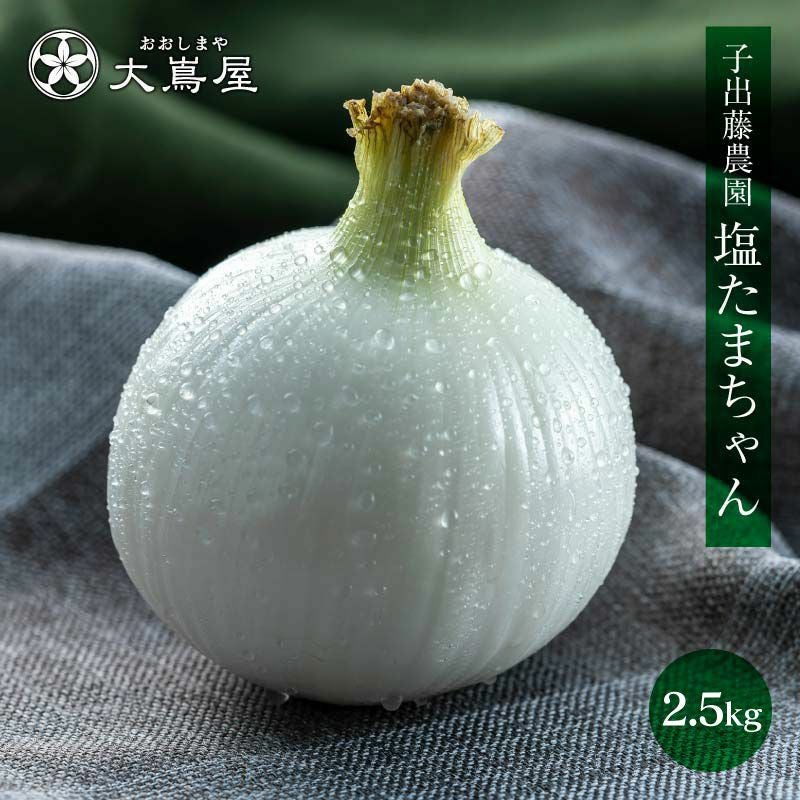 玉ねぎ | おおしま屋（大嶌屋）
