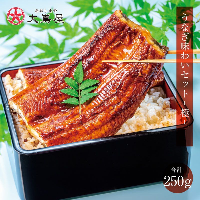 九州産 うなぎ味わいセット-極- ＜送料無料・クール代別途＞蒲焼き170g