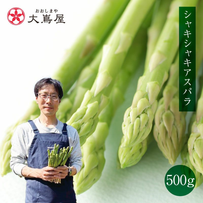シャキシャキアスパラ 500g ＜送料別・冷蔵便・クール代別＞ 国産 長崎