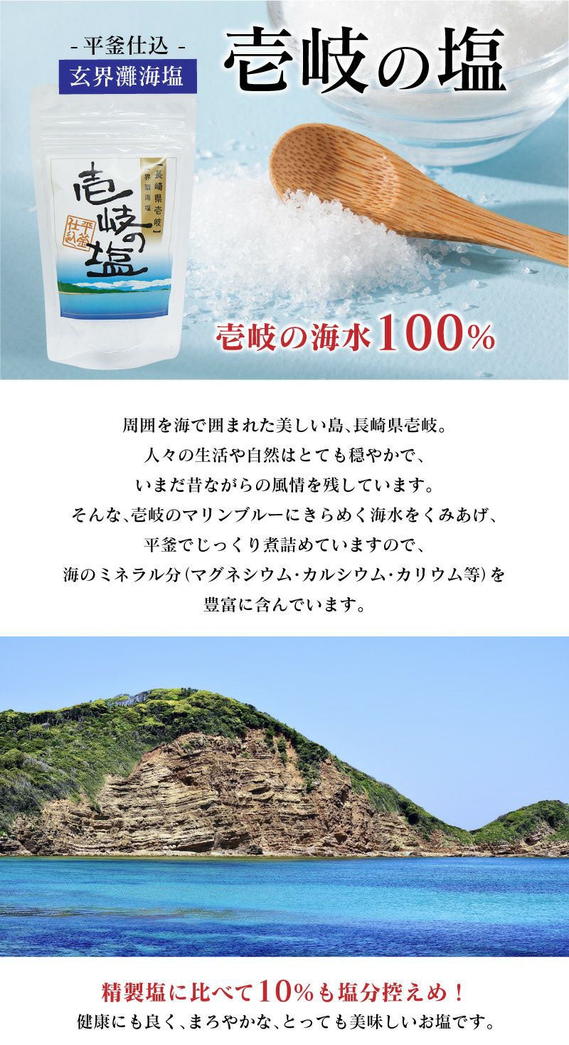 玄界灘海塩】壱岐の塩 1袋45g 送料300円 平釜仕立 ＜おおしま屋発送の