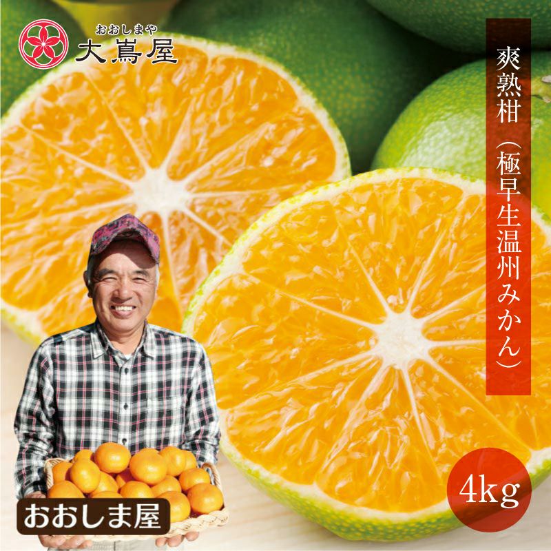 ★冬柑　まとめ買い みはや 2.0kg: JAみやざき Tege Mahalo|【JAタウン】産地直送 通販