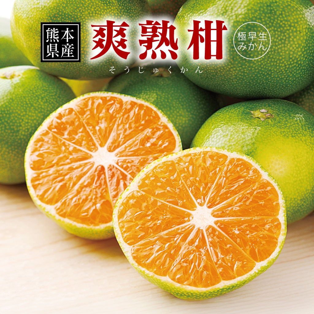 熊本県産 爽熟柑