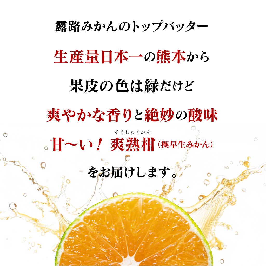 露路みかんのトップバッター！爽やかな香りと甘み、たっぷりの果汁を楽しめるのは今だけ