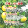 熊本のみかんの美味しさの秘密