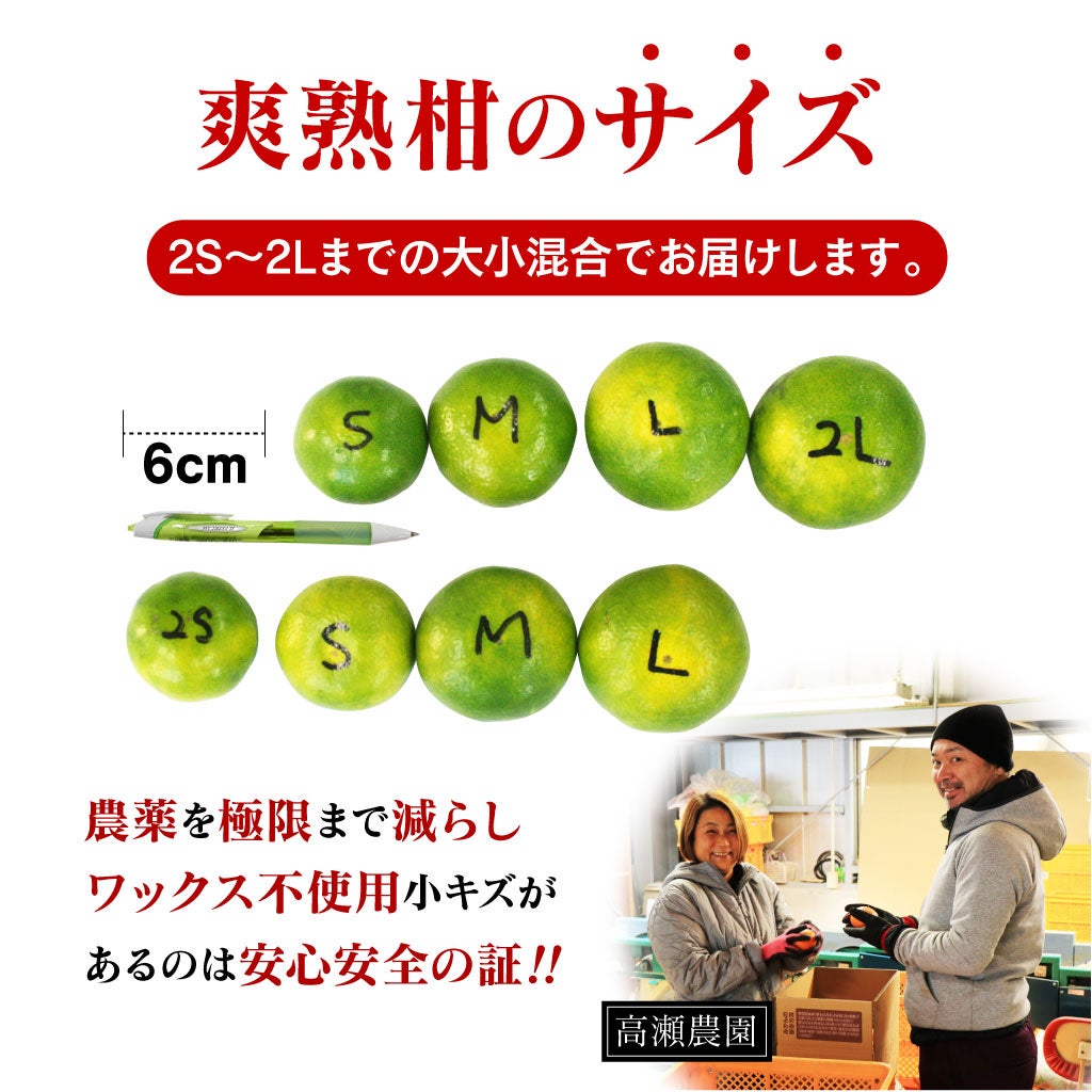 サイズ、規格