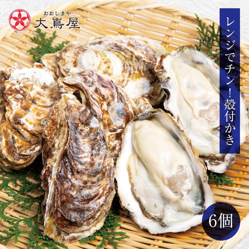 牡蠣さま専用 殻付き牡蠣 6個入り（加熱用） 送料別 クール代別 1年牡蠣 カキ | おお