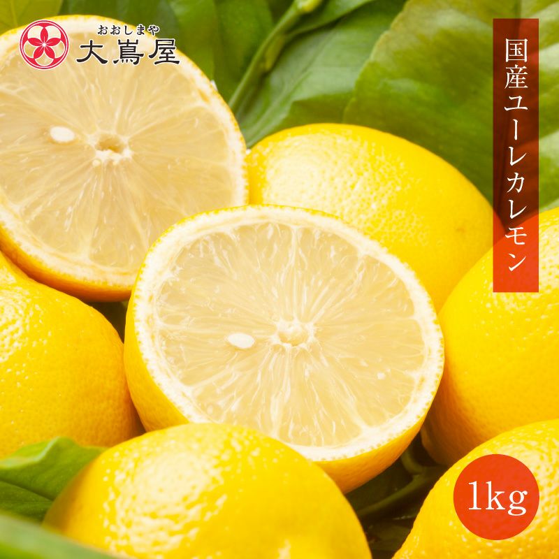 【ꕤ390】熊本県産 赤姫レモン 20kg（国産レモン） ꕤ390】熊本県産 赤姫レモン 20kg（国産レモン） 【公式通販】