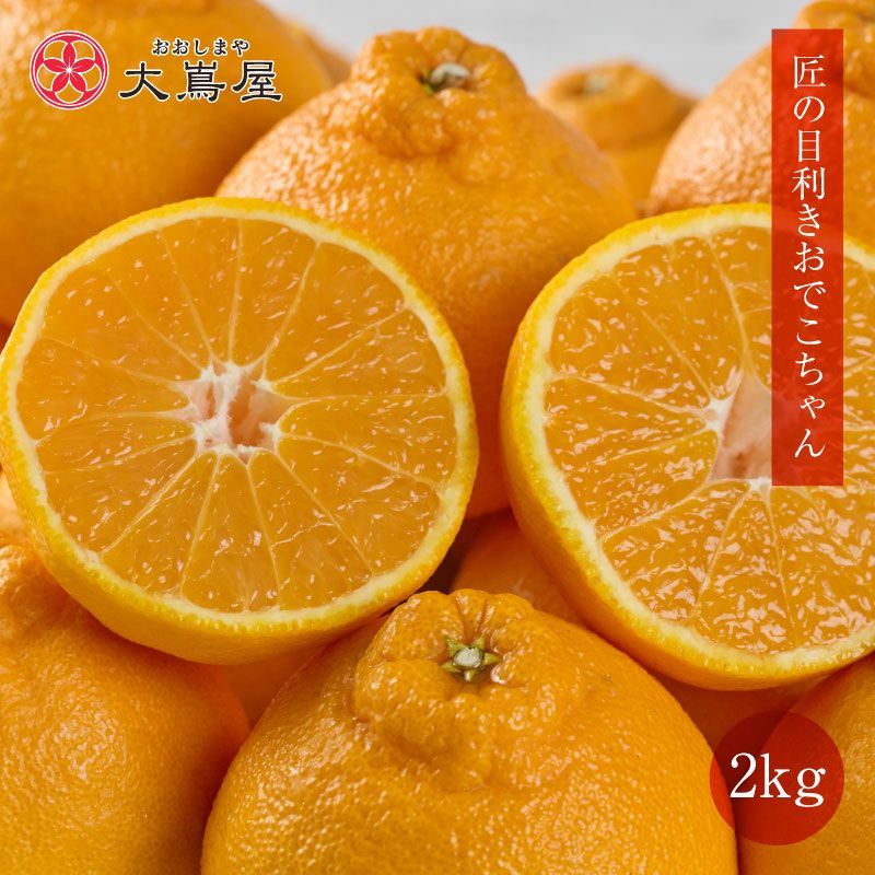 匠の目利き おでこちゃん 2kg 送料別 ＜3月中旬よりご注文順に順次出荷