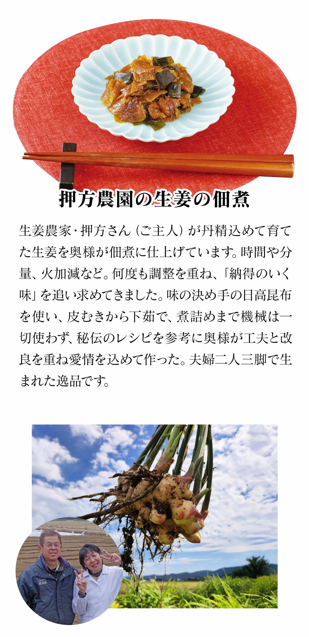押方さんちのだし薫る生姜の佃煮 200g ＜送料別・おおしま屋発送・冷凍