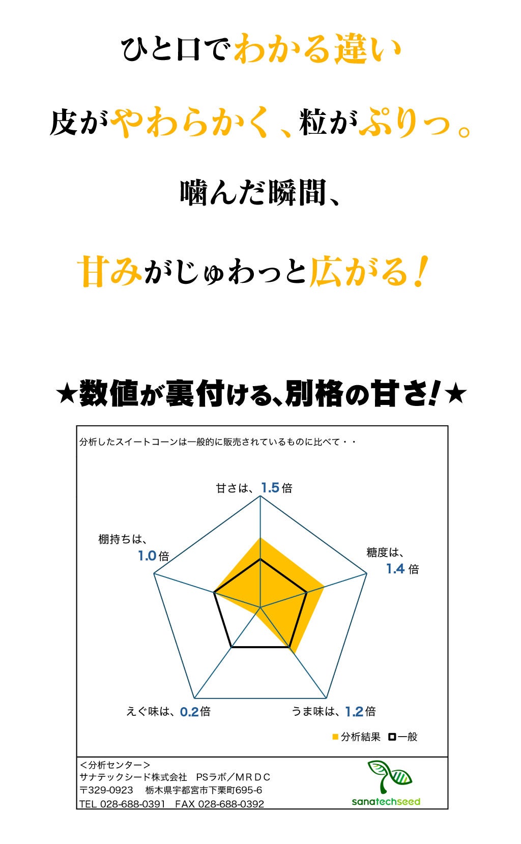 熊本産 塩とうもろこし 4kg（9-11本入り） 送料無料 クール代別途 ＜4