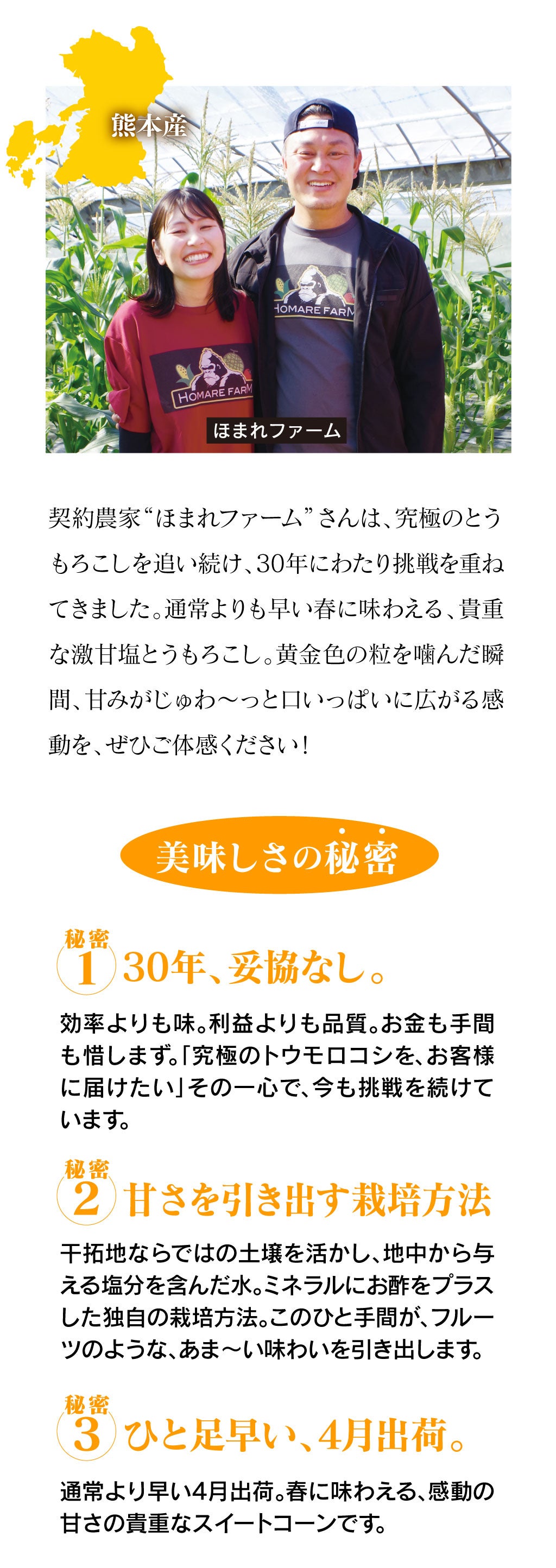 熊本産 塩とうもろこし 4kg（9-11本入り） 送料無料 クール代別途 ＜4