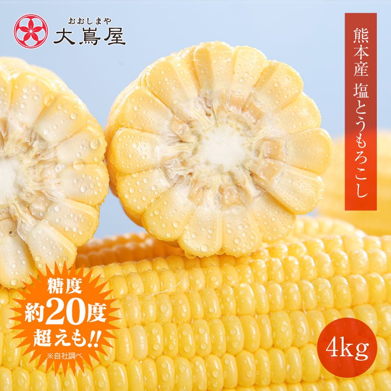 ②3月26日掘り出し当日発送 　　熊本産4kg 熊本産 塩とうもろこし 4kg（9-11本入り） 送料無料 クール代別途 ＜4