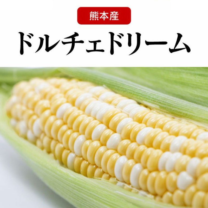 ドルチェドリーム とうもろこし スイートコーン 4kg ＜5月下旬から順次