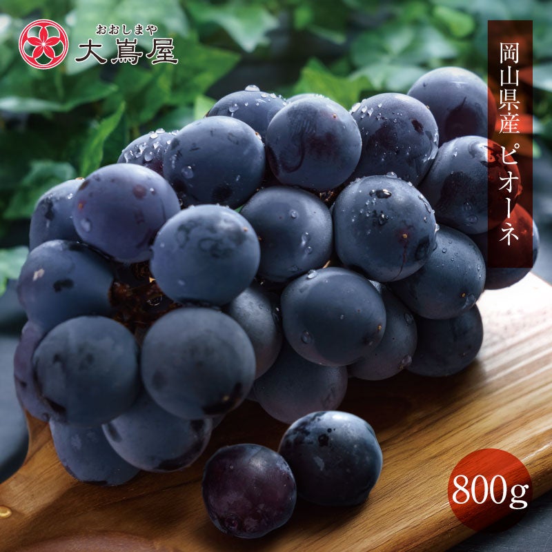ピオーネ ニューピオーネ 800g（2房） 送料無料 ＜クール代別＞ 7月